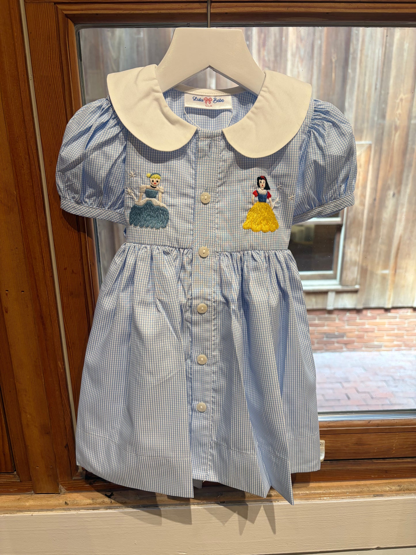 Tracy Disney Embroidered Dress