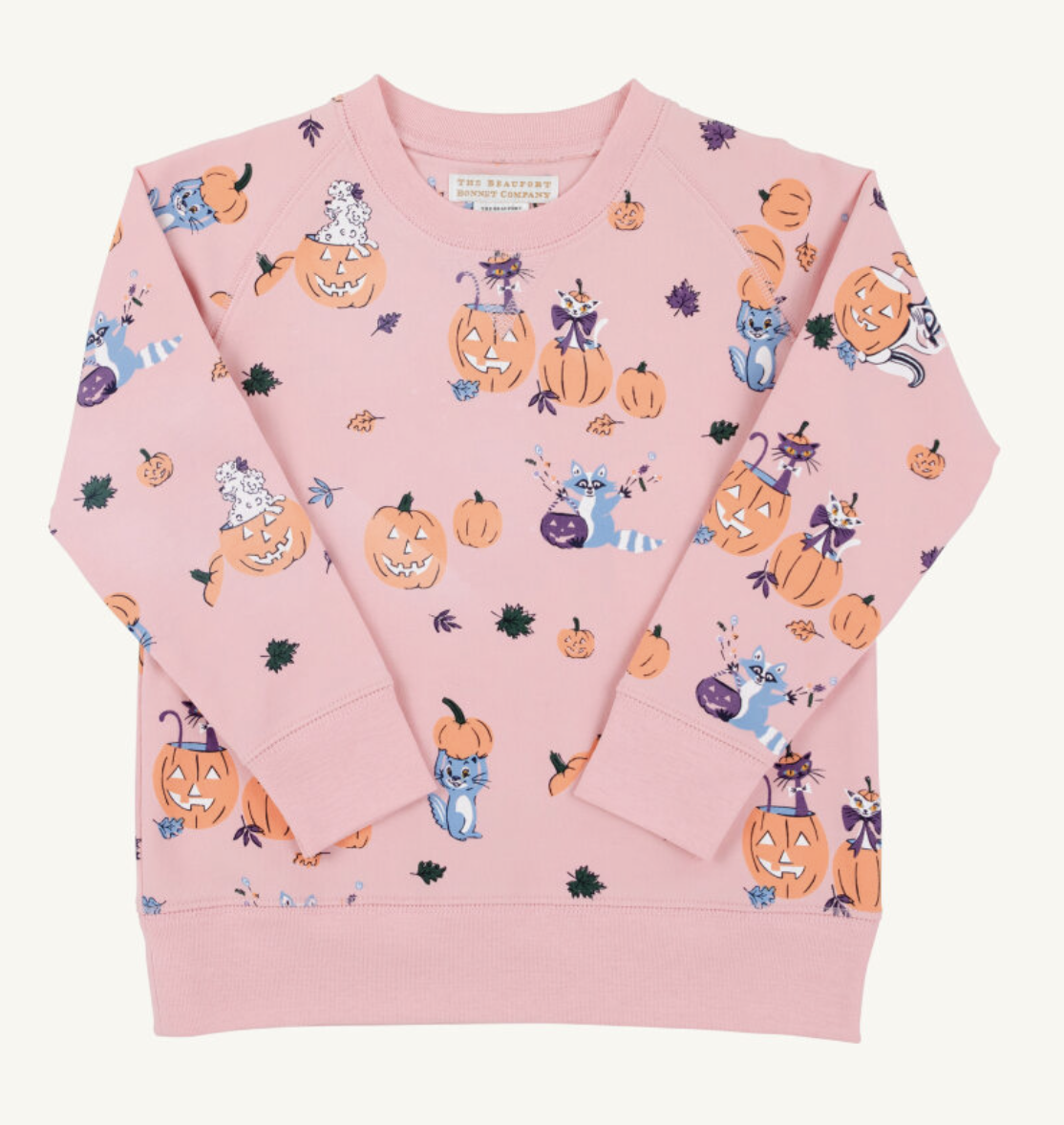 Cassidy Comfy Crewneck - Candy and Critters