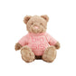 Big Sis Plush Bear