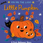 You Are the Light 02 Pumpkin