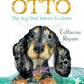 Otto: The Top Dog