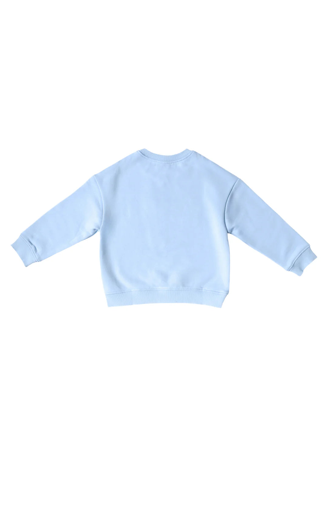 A light blue long-sleeve crewneck sweatshirt shown from the back, laid flat against a solid white background.