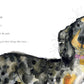 Otto: The Top Dog