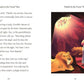 Illustrated Bible Stories : Usborne