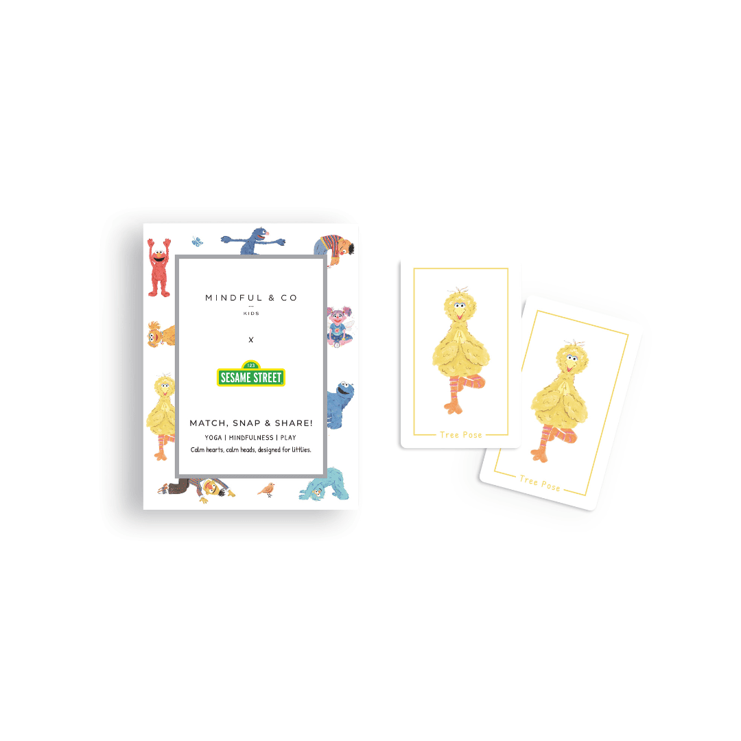 Sesame Street Card Game for Kids – 3-in-1 Match,Snap & Share