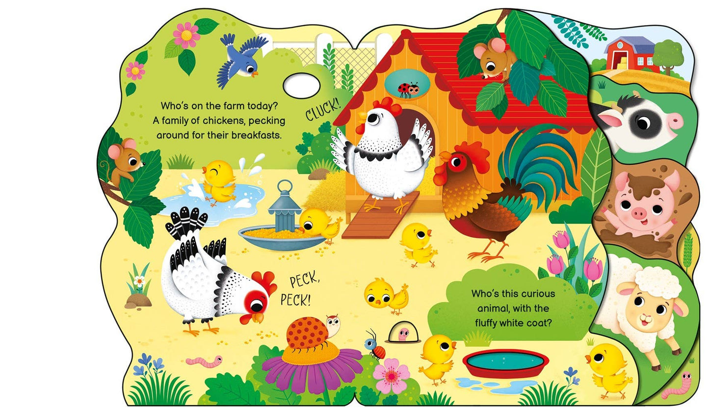 Who's on the Farm Today? : Usborne