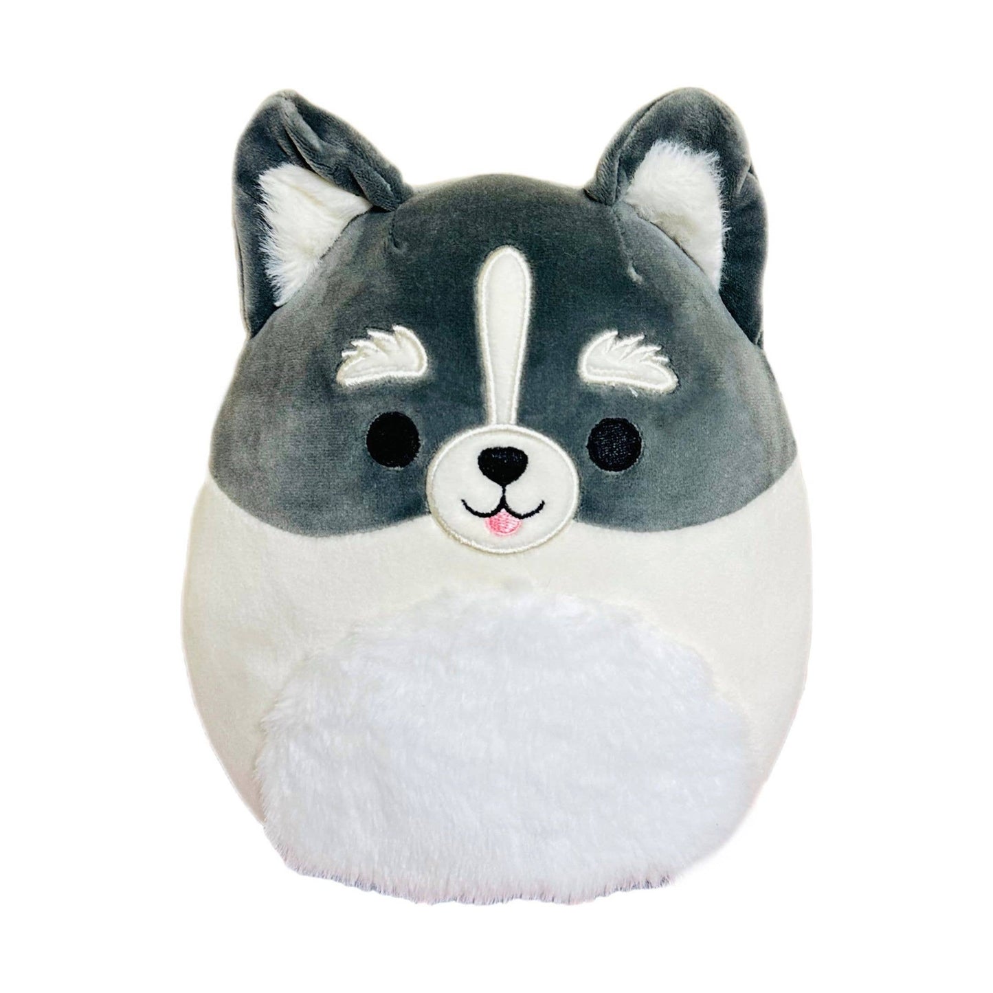 Squishmallow Dog Plush Toy 12" Paolo the Pomsky