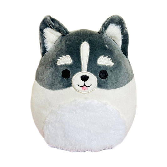 Squishmallow Dog Plush Toy 12" Paolo the Pomsky