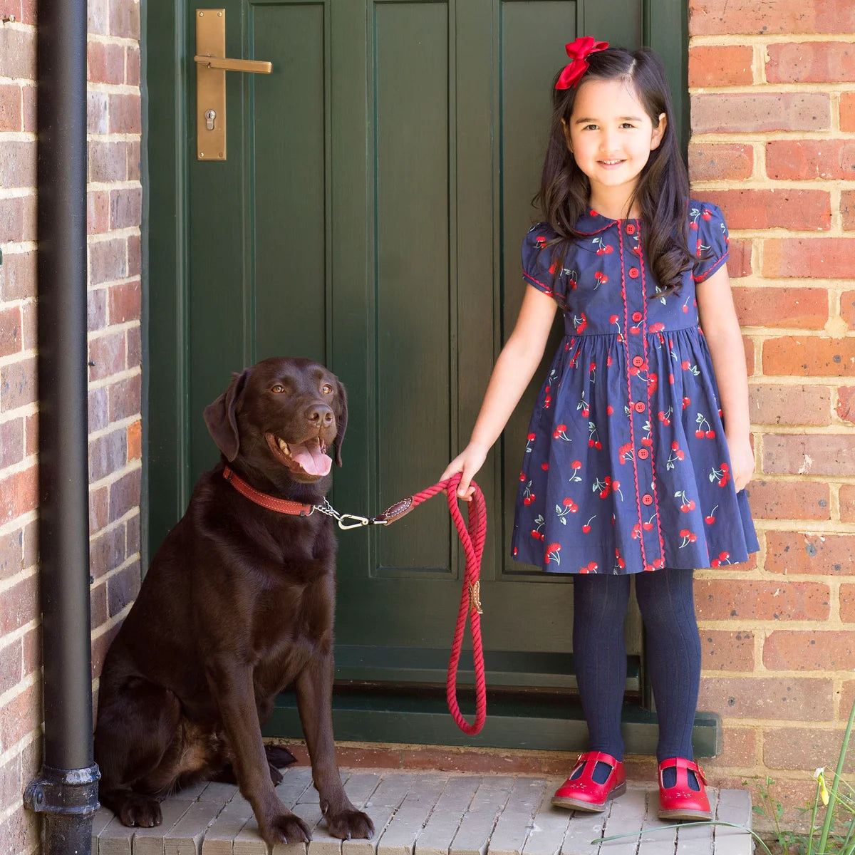 Cherry Front Button Dress