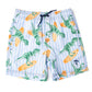 Boys Trunks  Hang Ten Dino
