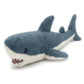 Seaborn Shark