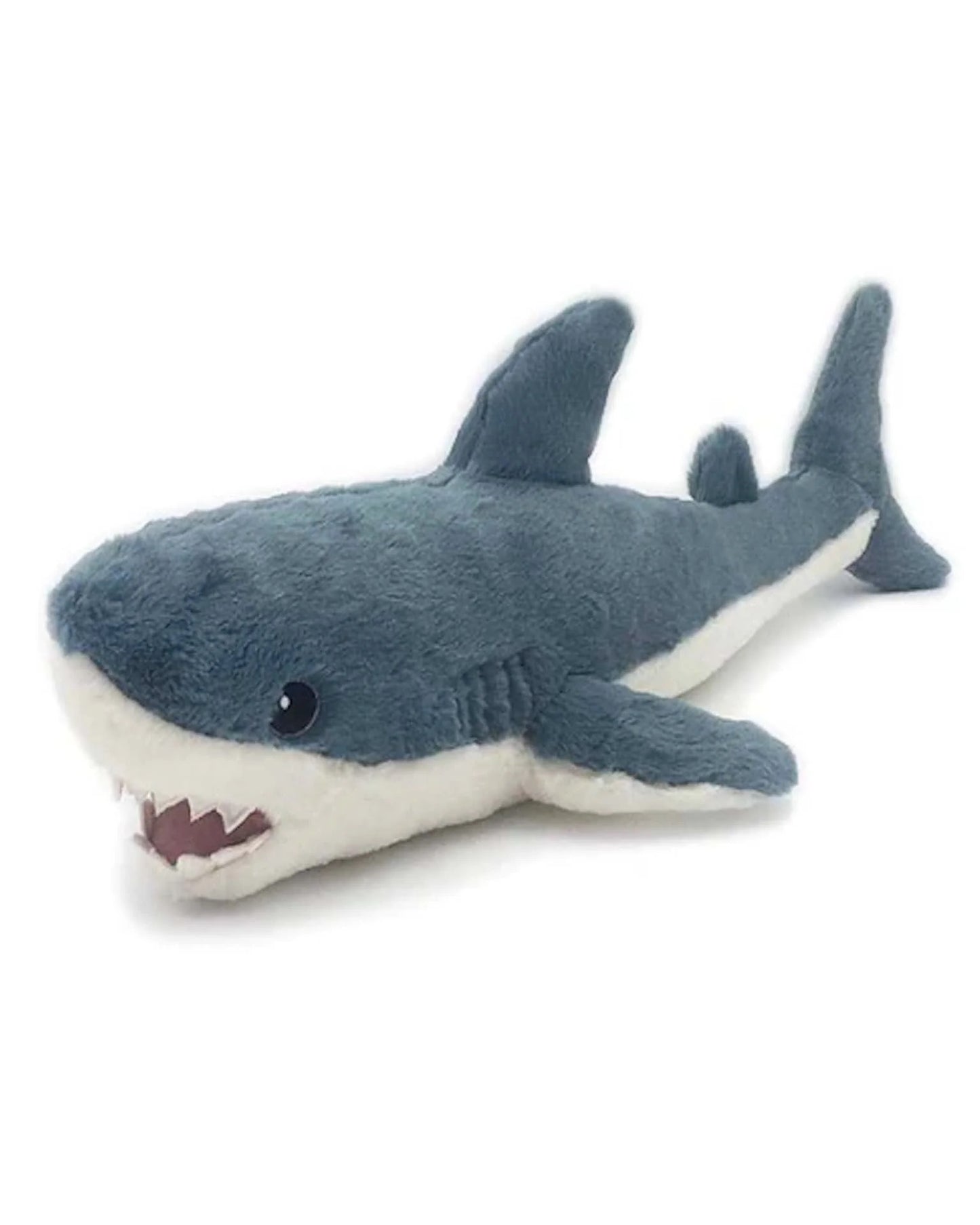 Seaborn Shark