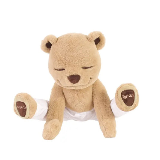 Meddy Teddy