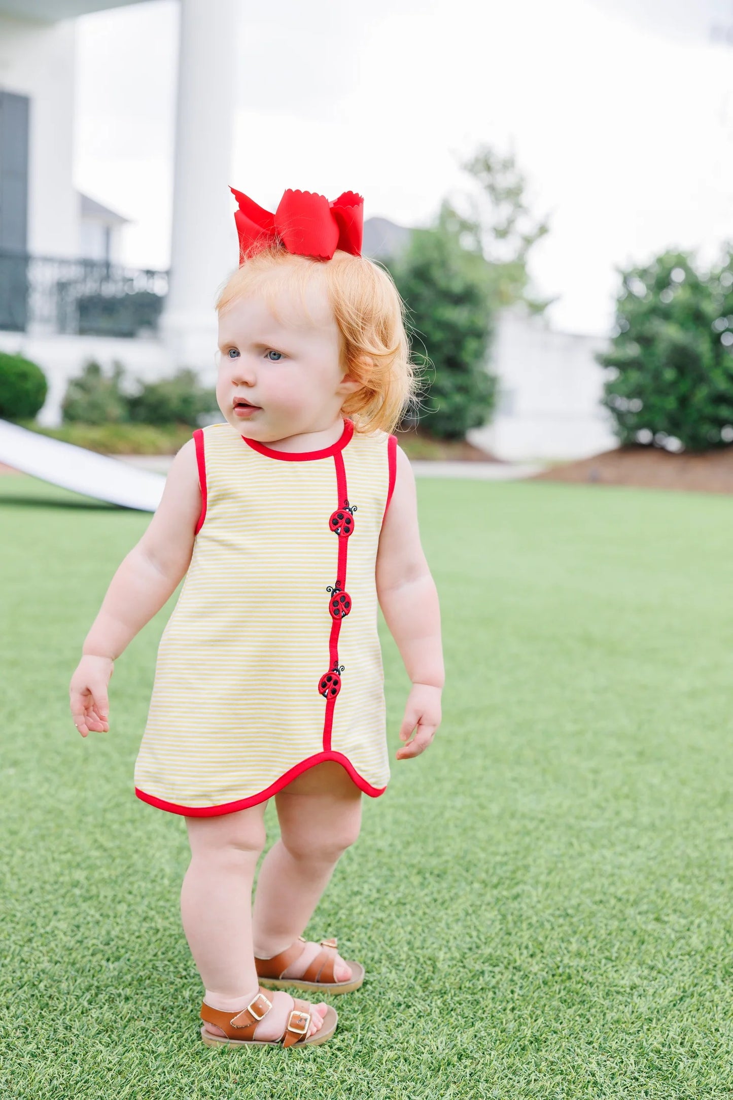 Lovely Ladybugs Diaper Set