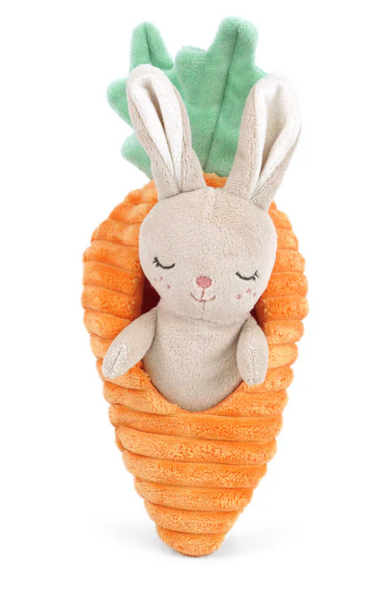 Mon Ami Bunny and Carrot Plush Toy