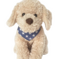 Bentley the Golden Doodle - Mon Ami