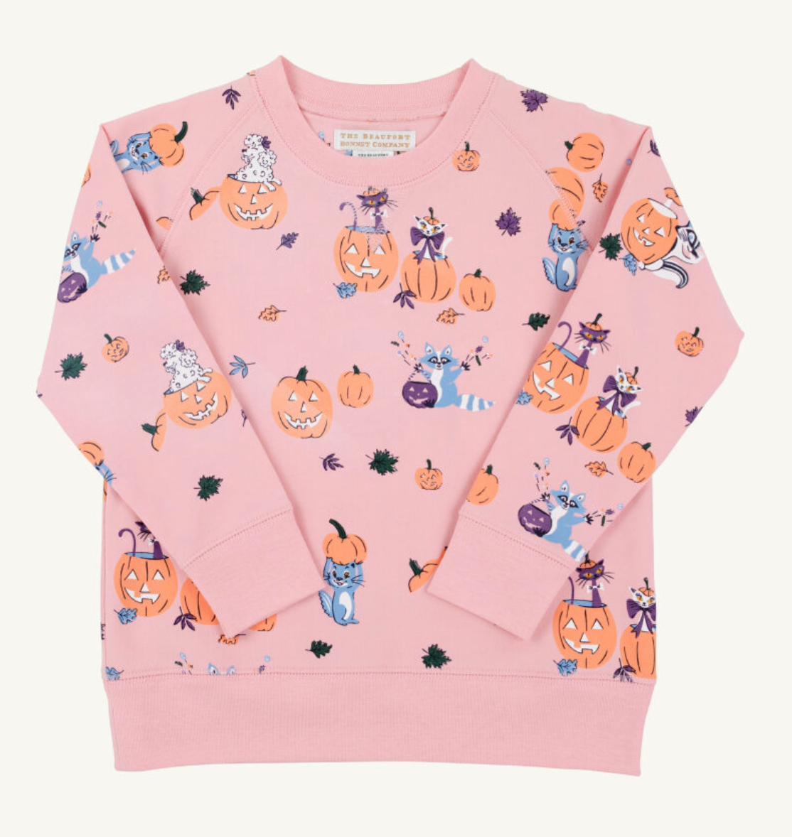 Cassidy Comfy Crewneck - Candy and Critters