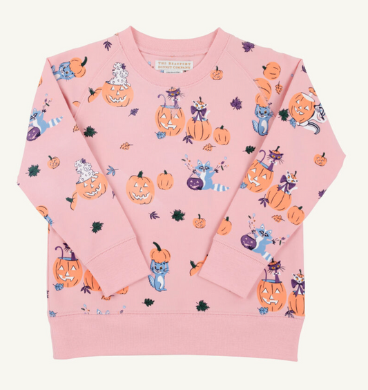 Cassidy Comfy Crewneck - Candy and Critters