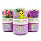 Butterfly Grab & Go Dough Jar