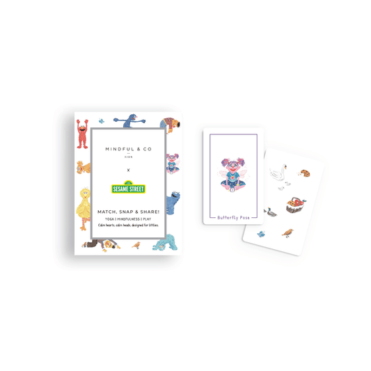 Sesame Street Card Game for Kids – 3-in-1 Match,Snap & Share