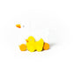Duck Big & Little Wooden Roller