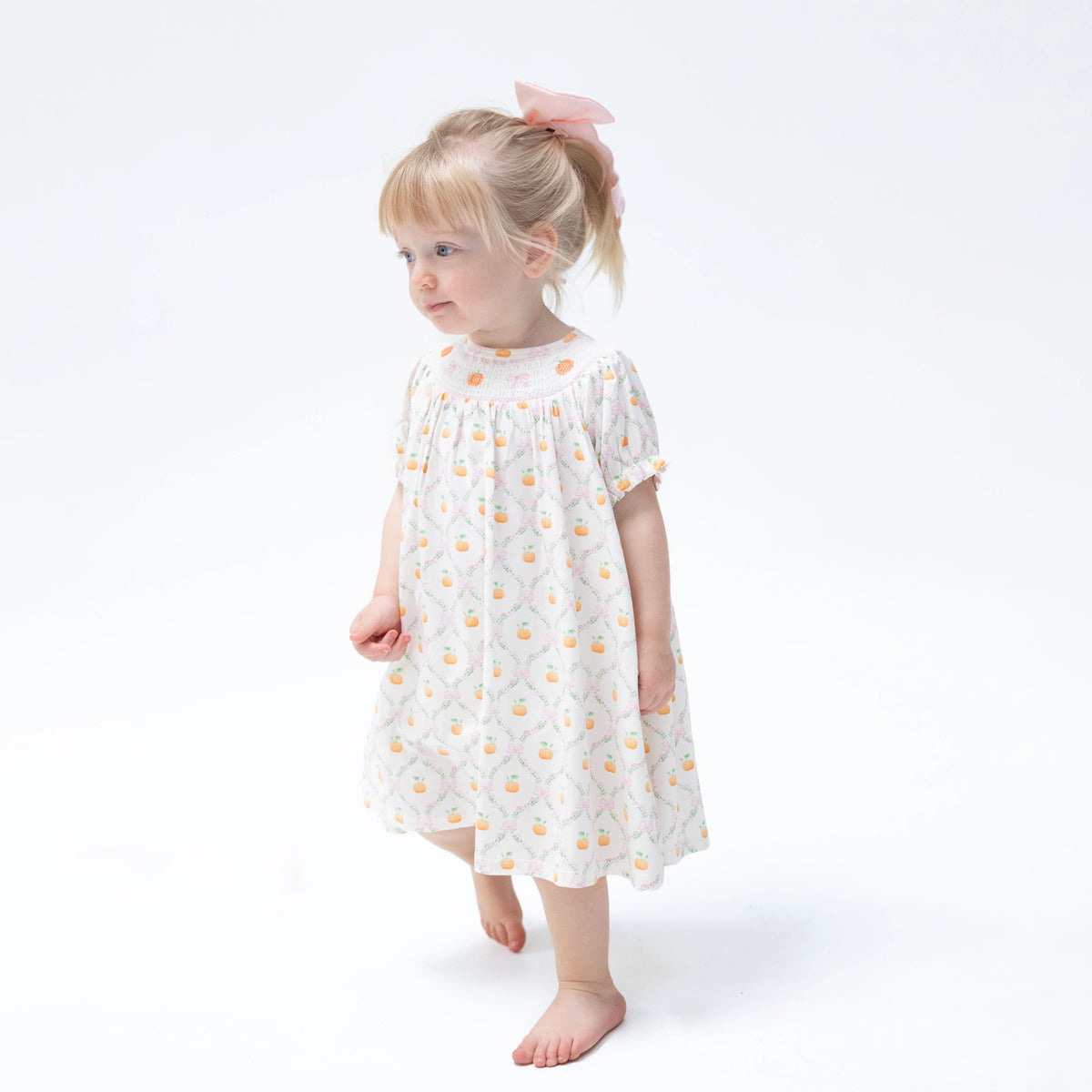 Pretty Pumpkin Trellis- Puff Bishop Dress and Bloomer